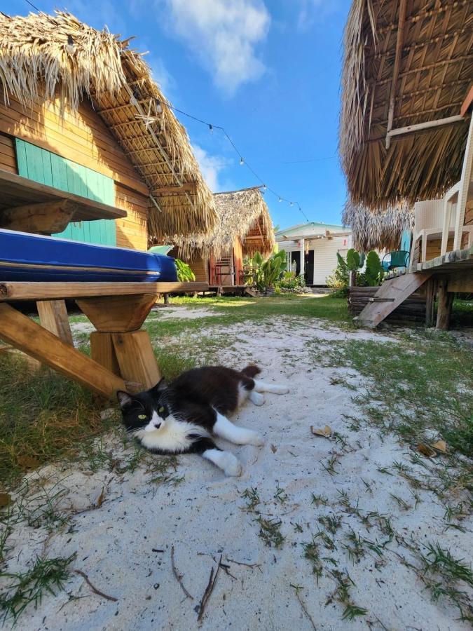 Saona Lodge Mano Juan Bagian luar foto